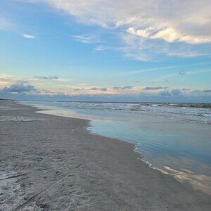 Meet your Posher, Willow